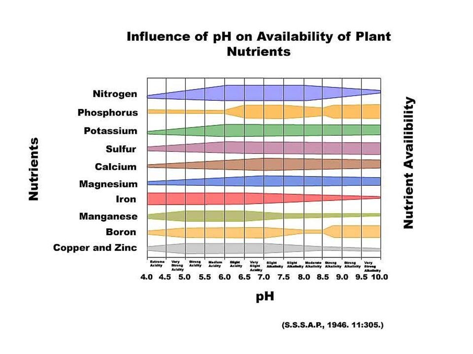 Influences of soil ph on nutrient availability