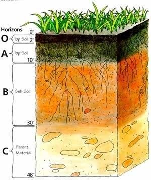 soil-profile-vertical-section.jpg