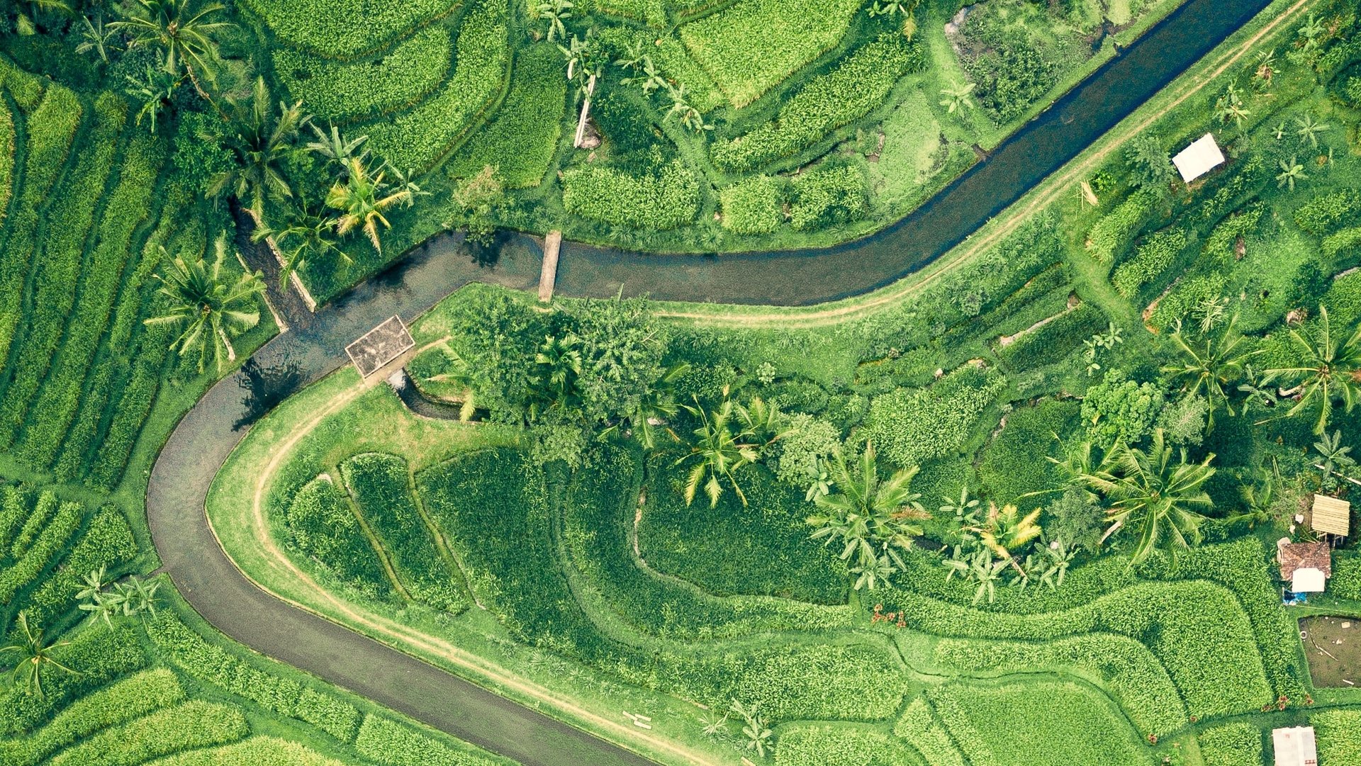 کیفیت آب آبیاری