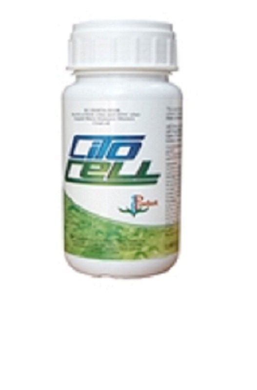 Citocell (سیتوسل)