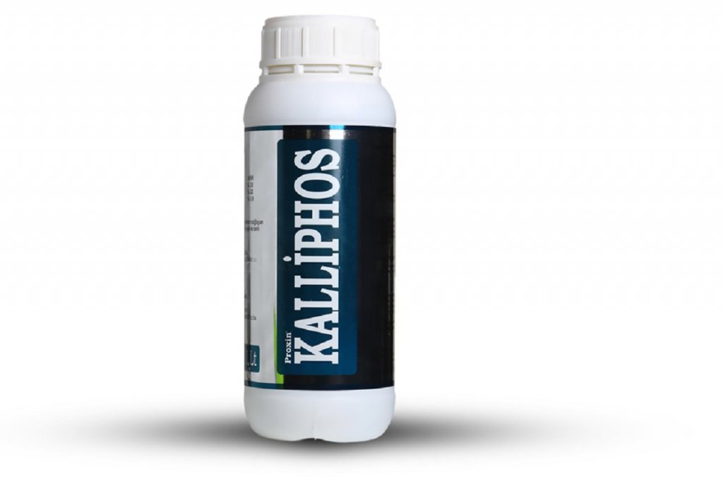 Proxin Kalliphos (کالیفوس)